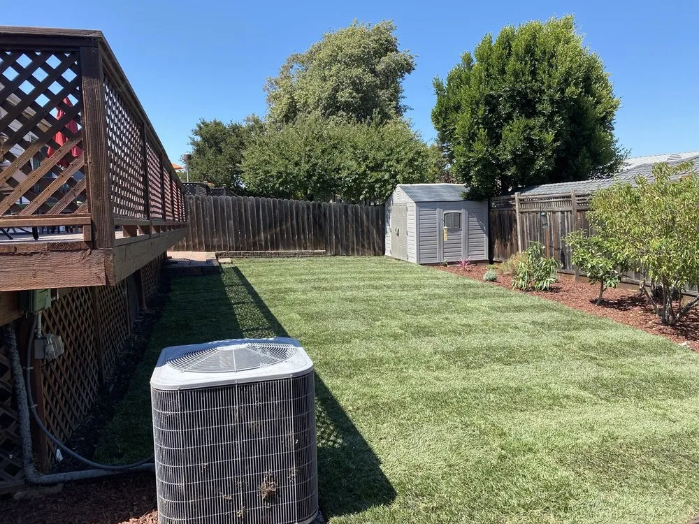 Custom lawn care service for homes in Antioch, CA by Tonys Landscape & Gardening