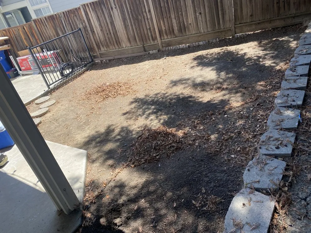 Local lawn care service for outdoor upgrades in Antioch, CA by Tonys Landscape & Gardening