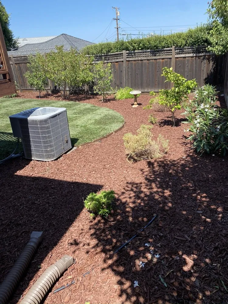 Reliable lawn care service for residential properties across Antioch, CA - Tonys Landscape & Gardening