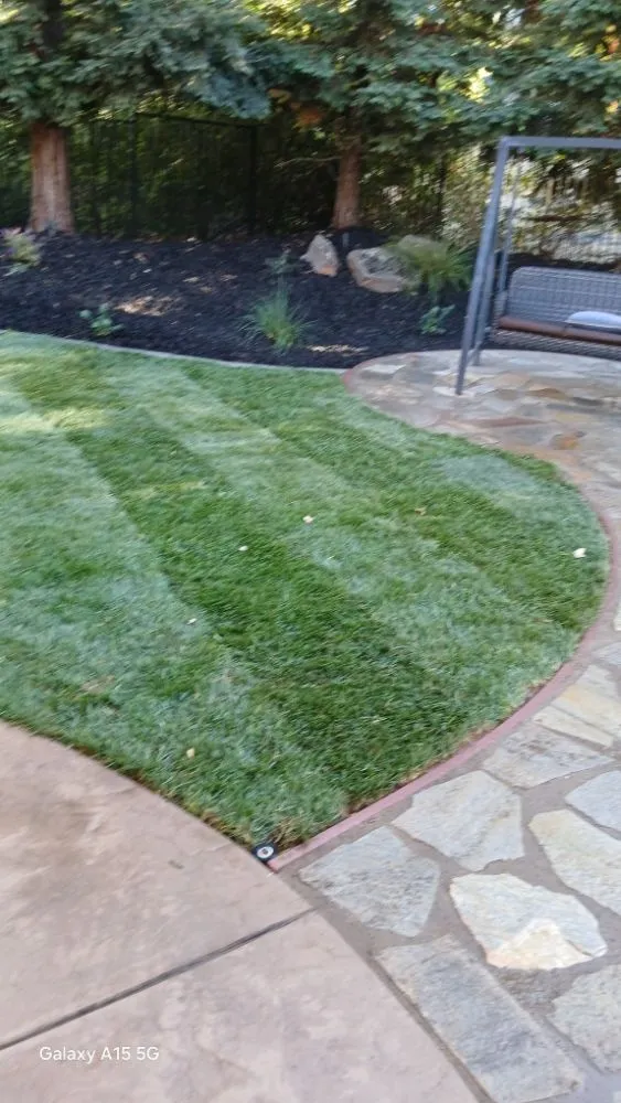 Local landscape installation for outdoor upgrades across El Dorado Hills, CA - Tonys Landscape & Maintenance