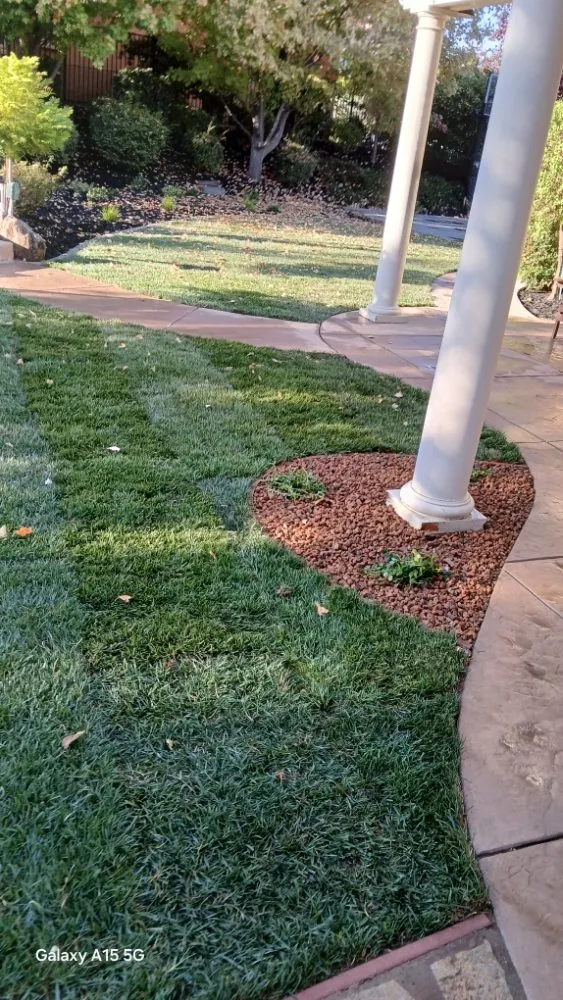 Custom lawn mowing service in El Dorado Hills, CA by Tonys Landscape & Maintenance