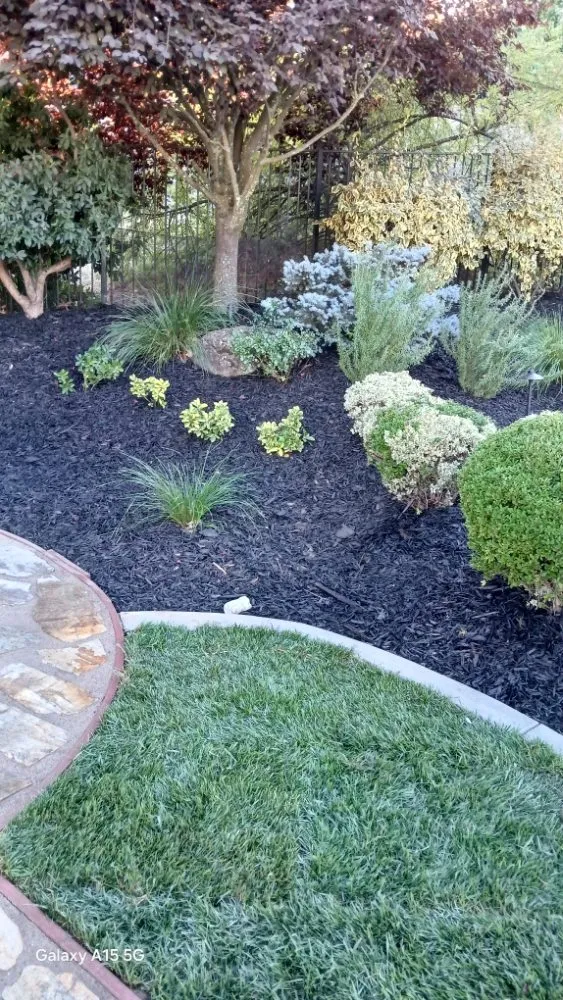 Expert landscape installation experts serving El Dorado Hills, CA - Tonys Landscape & Maintenance