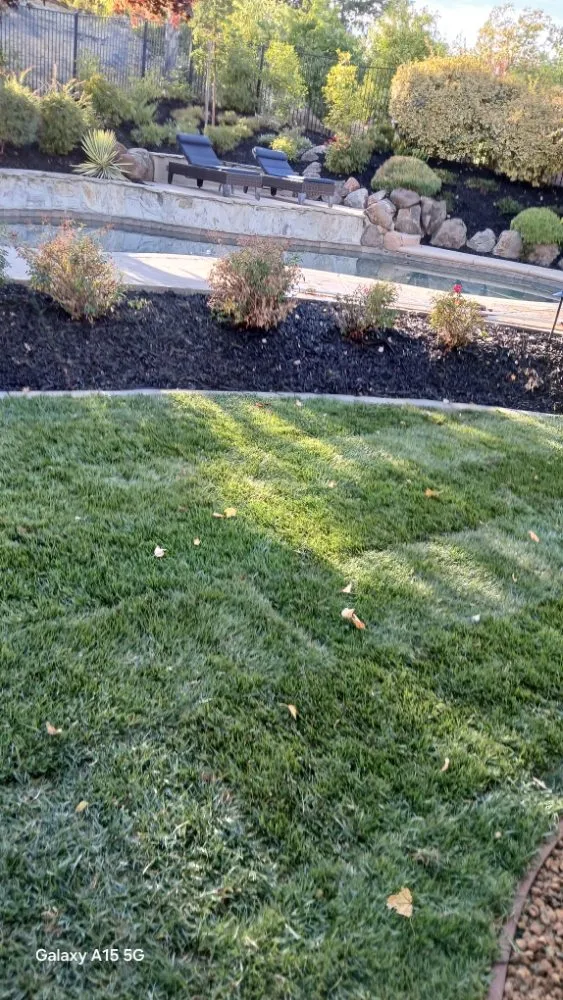 Expert landscape design for homes across El Dorado Hills, CA - Tonys Landscape & Maintenance