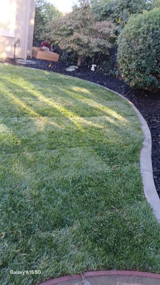 Expert outdoor landscaping with custom design in El Dorado Hills, CA by Tonys Landscape & Maintenance