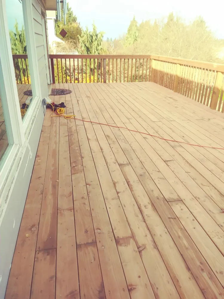 Top-rated landscaping services for year-round maintenance in Shelton, WA by Tony's Landscape