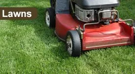 Affordable landscaping services in Brockton, MA - Tony’s Landscaping & Property Services