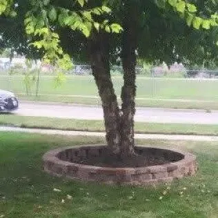 Trusted yard maintenance in Waukegan, IL - Tony's Landscaping & Snow Plowing