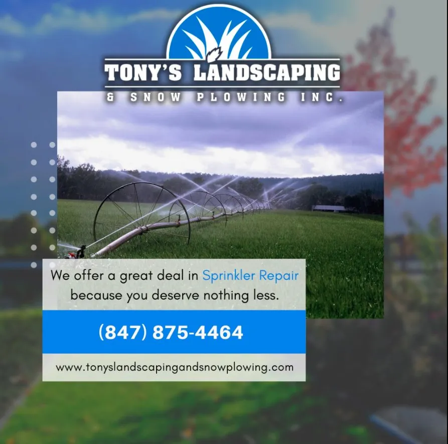 Professional lawn care service experts serving Waukegan, IL - Tony's Landscaping & Snow Plowing