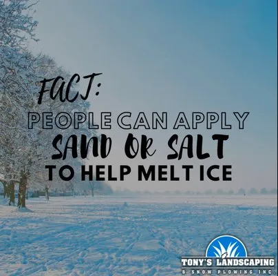 Tony's Landscaping & Snow Plowing Logo