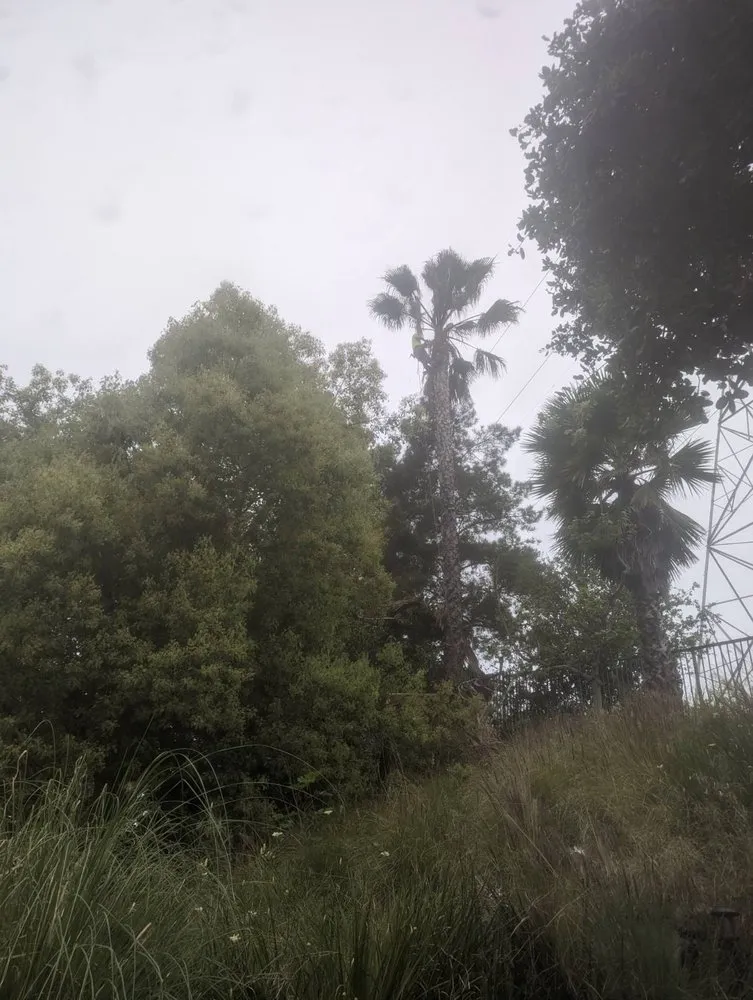 Affordable outdoor landscaping in Pomona, CA by Tony's Landscaping and Tree Service