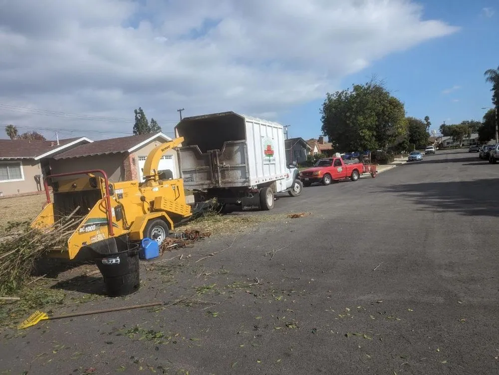 Affordable landscape installation for beautiful yards in Pomona, CA by Tony's Landscaping and Tree Service