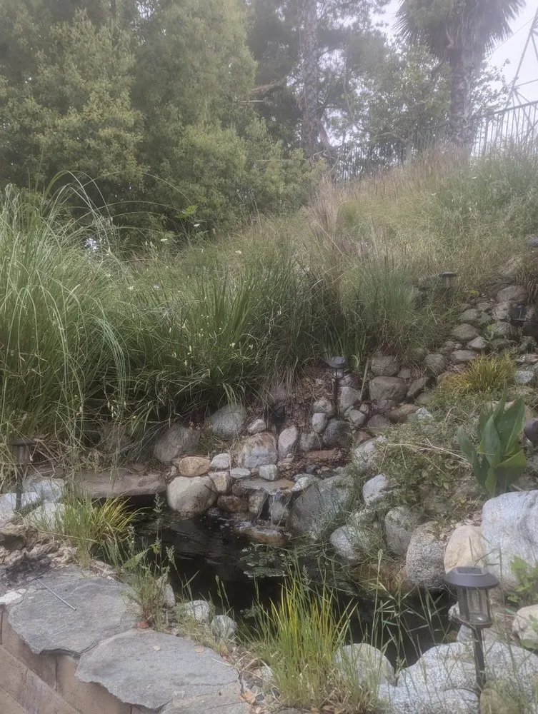 Reliable lawn care service for year-round maintenance across Pomona, CA - Tony's Landscaping and Tree Service