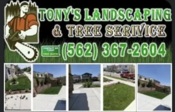 Tony's Landscaping and Tree Service Logo