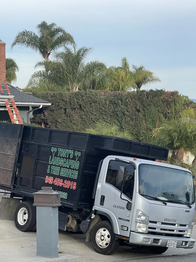 Professional garden landscaping in San Juan Capistrano, CA by Tony’s landscaping and tree services