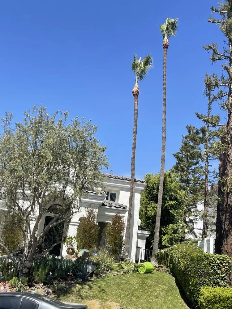 Reliable outdoor landscaping for outdoor upgrades in San Juan Capistrano, CA by Tony’s landscaping and tree services