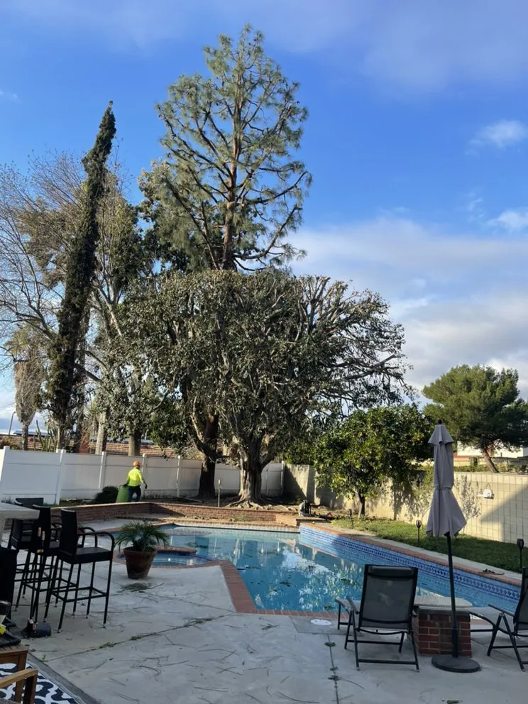 Custom residential landscaping for year-round maintenance across San Juan Capistrano, CA - Tony’s landscaping and tree services