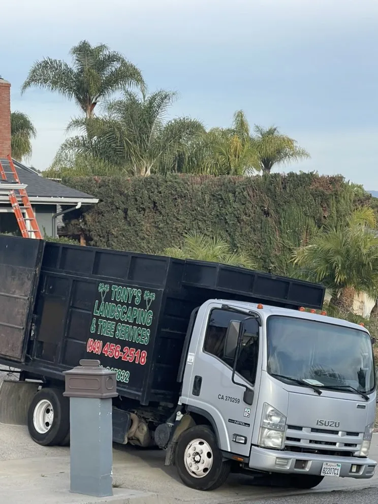 Custom landscape installation with custom design across San Juan Capistrano, CA - Tony’s landscaping and tree services