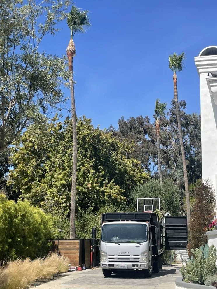 Top-rated landscaping services for homes in San Juan Capistrano, CA by Tony’s landscaping and tree services