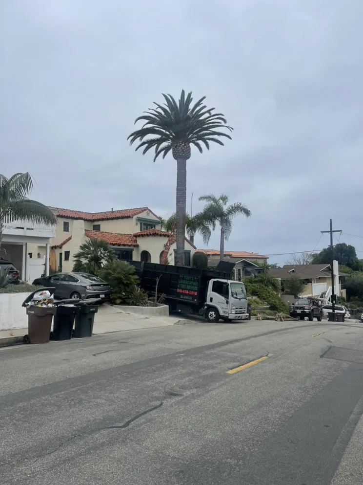 Reliable yard maintenance for beautiful yards across San Juan Capistrano, CA - Tony’s landscaping and tree services