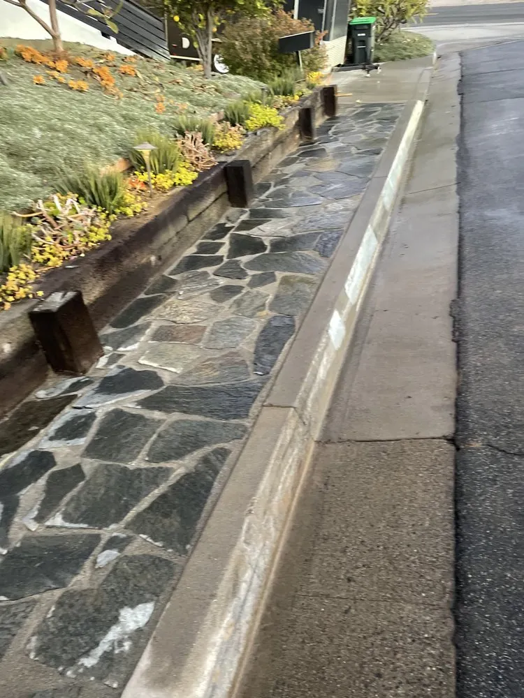 Custom yard cleanup service in San Juan Capistrano, CA - Tony’s landscaping and tree services