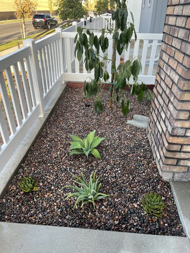 Professional yard cleanup service near you in San Juan Capistrano, CA by Tony’s landscaping and tree services