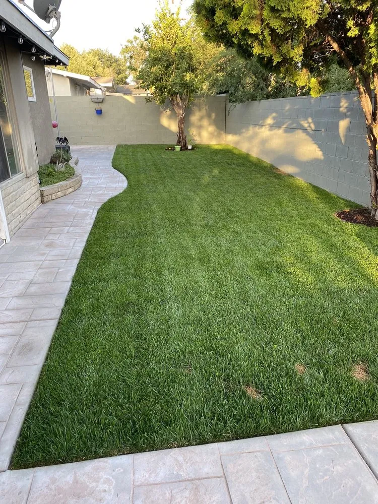 Affordable lawn mowing service for year-round maintenance across Riverside, CA - Tony’s Landscaping and Tree Trimming Service’s