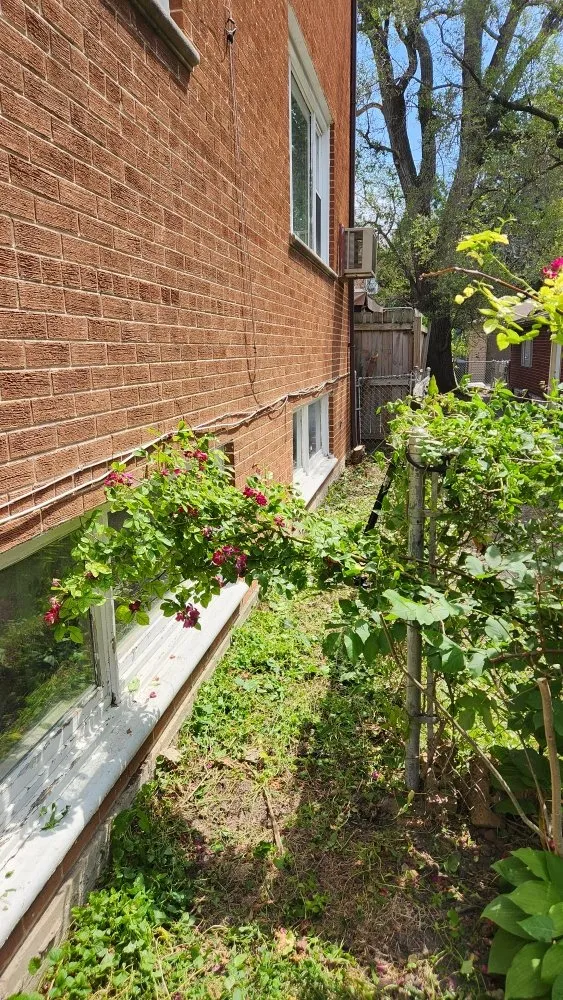 Reliable lawn mowing service in Chicago, IL - Tony's Landscaping