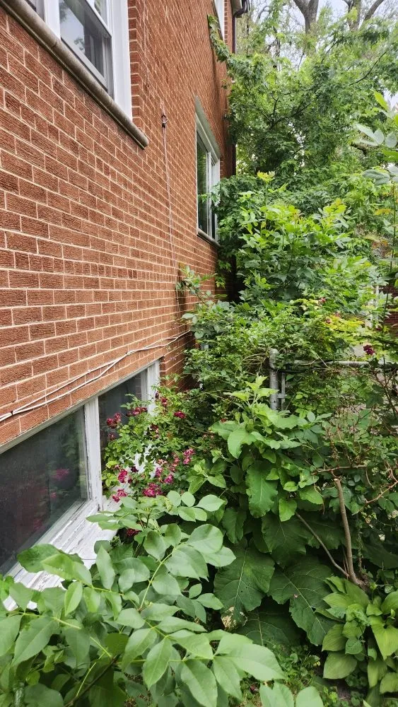 Expert lawn mowing service for outdoor upgrades across Chicago, IL - Tony's Landscaping