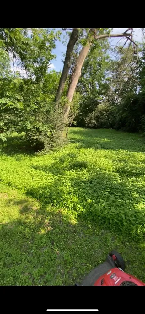 Local lawn care service with custom design in Fort Worth, TX by Tony’s Landscaping