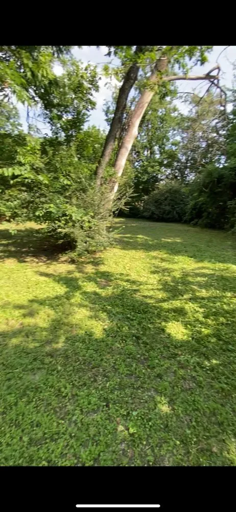 Reliable yard cleanup service experts serving Fort Worth, TX - Tony’s Landscaping