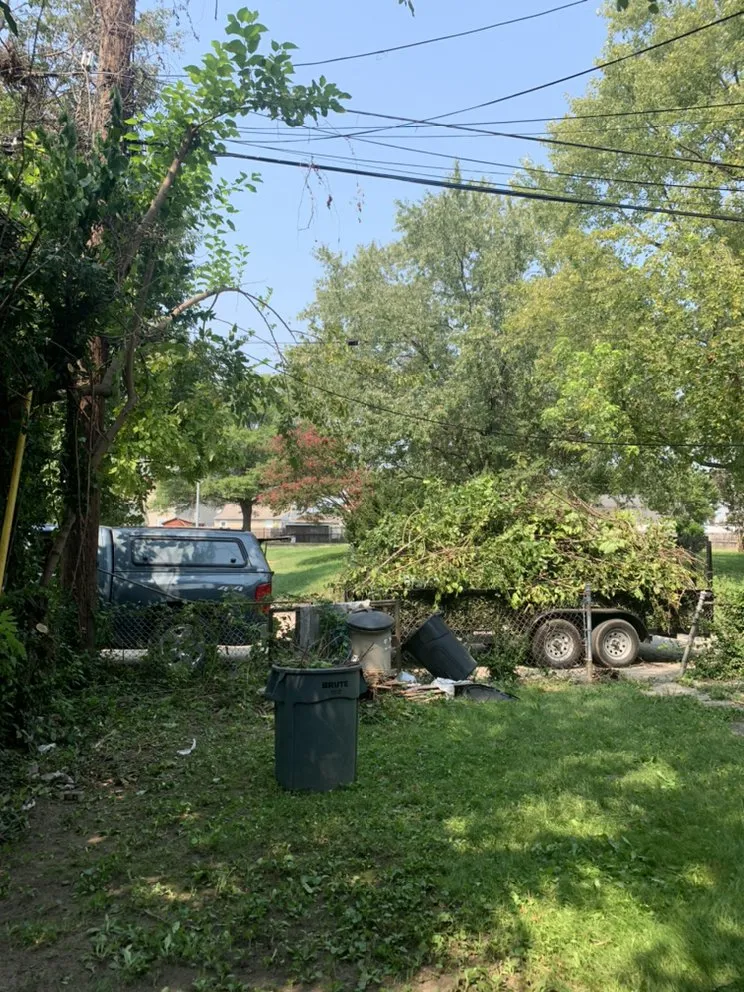 Professional garden landscaping for year-round maintenance across Glyndon, MD - Tony's Landscaping
