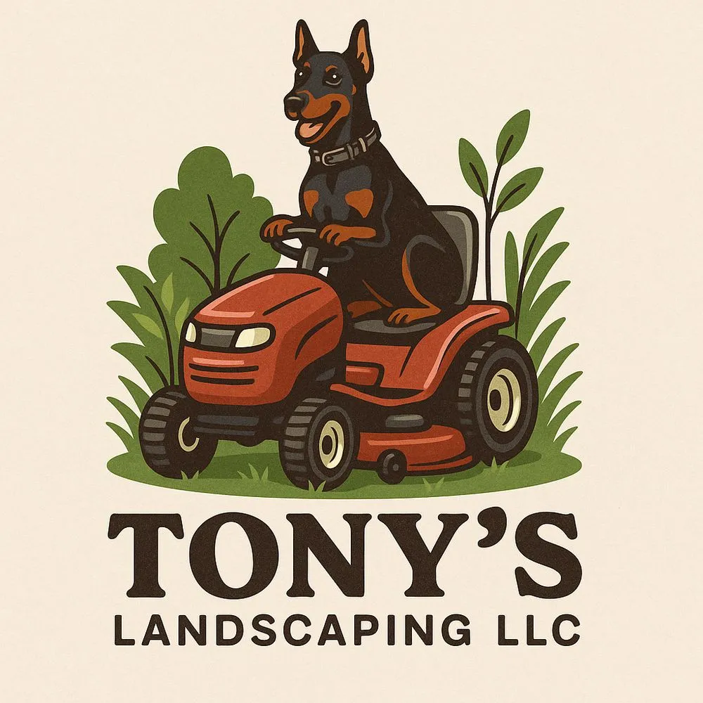 Professional yard cleanup service in Ingleside, IL - Tony’s Landscaping