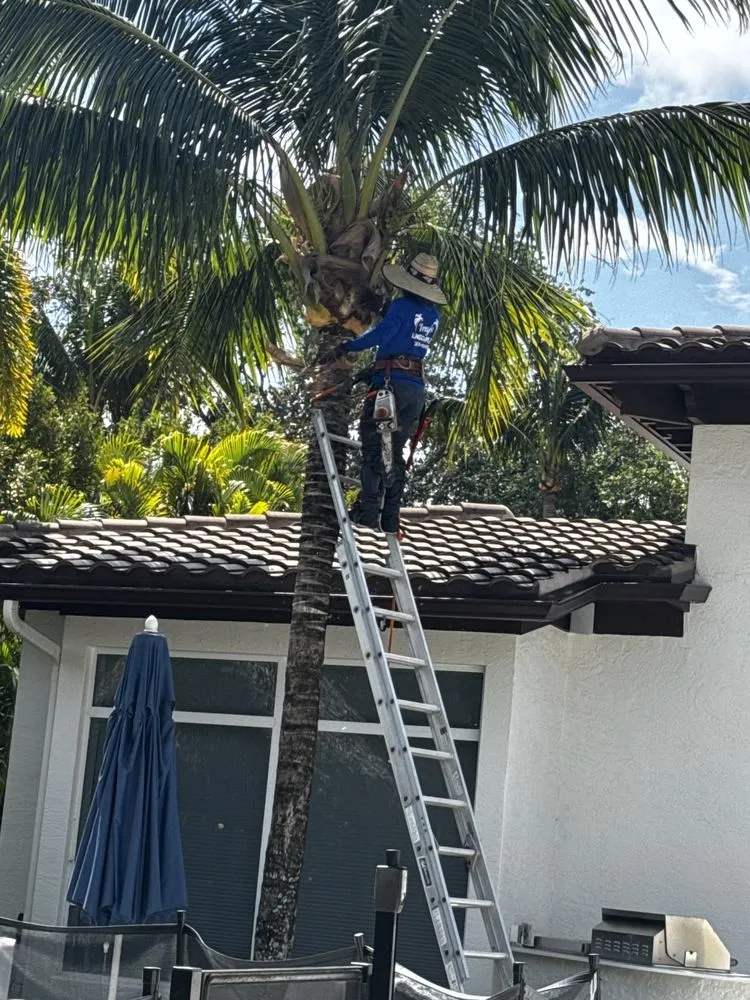 Top-rated yard maintenance experts serving Jupiter, FL - Tony’s Landscaping