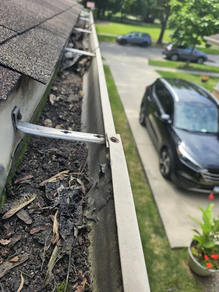 Affordable landscape installation for year-round maintenance in Niles, IL by Tony's Landscaping