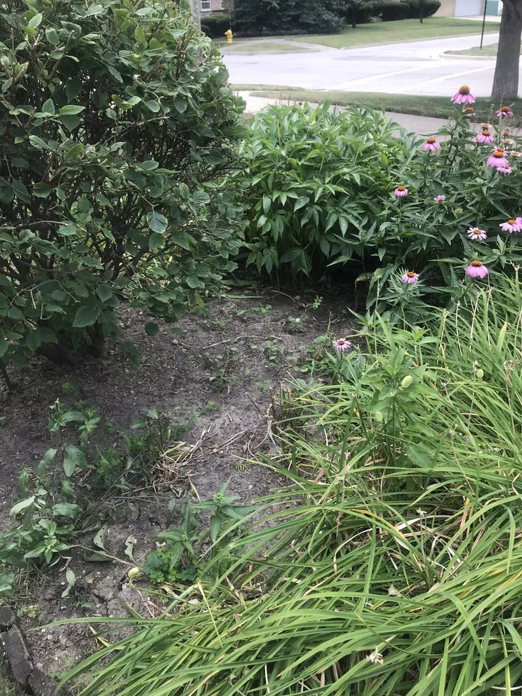 Custom lawn mowing service in Niles, IL - Tony's Landscaping