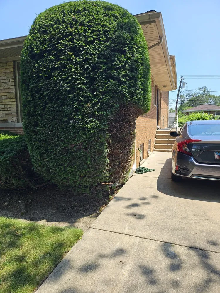 Local landscape installation for outdoor upgrades across Niles, IL - Tony's Landscaping