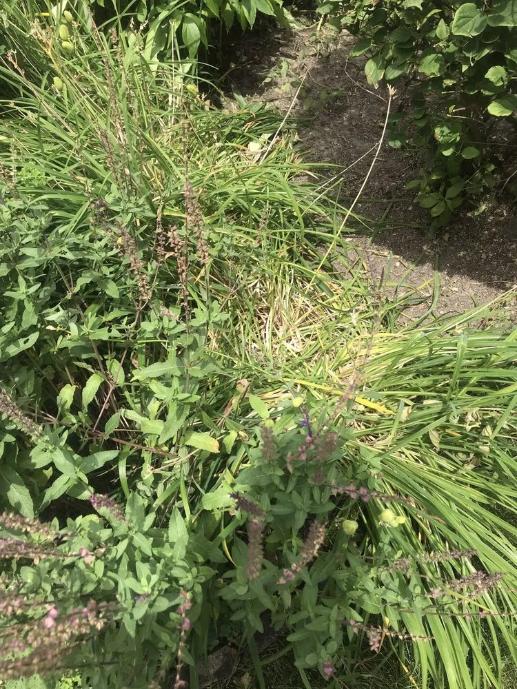 Custom residential landscaping in Niles, IL - Tony's Landscaping