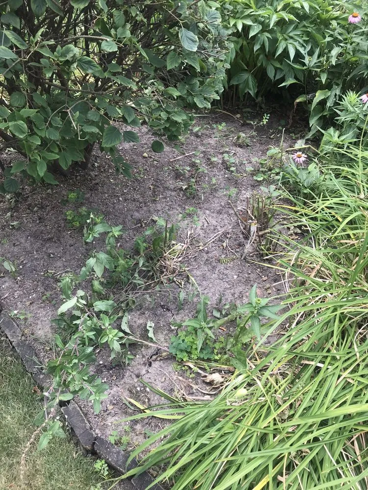 Local yard cleanup service in Niles, IL by Tony's Landscaping