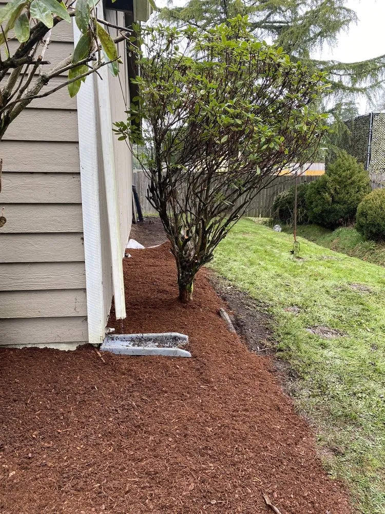 Expert outdoor landscaping in Puyallup, WA by Tony's Landscaping