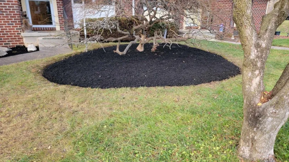 Expert landscape design with custom design in Reisterstown, MD by Tonys Landscaping