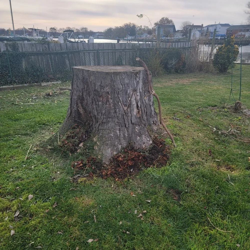 Local landscape installation in Reisterstown, MD by Tonys Landscaping
