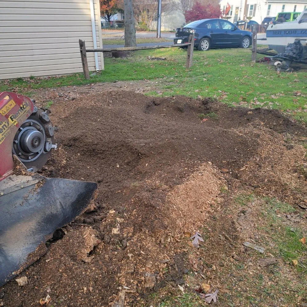 Professional outdoor landscaping experts serving Reisterstown, MD - Tonys Landscaping