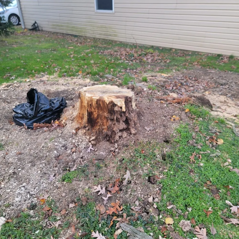 Custom landscape design in Reisterstown, MD by Tonys Landscaping