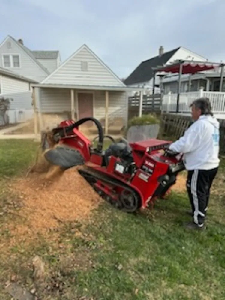 Trusted landscape installation in Reisterstown, MD by Tonys Landscaping