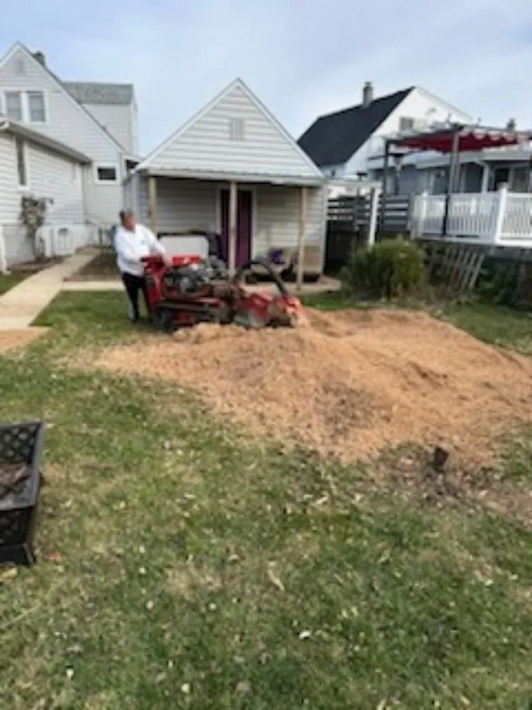 Custom landscape installation for outdoor upgrades in Reisterstown, MD by Tonys Landscaping