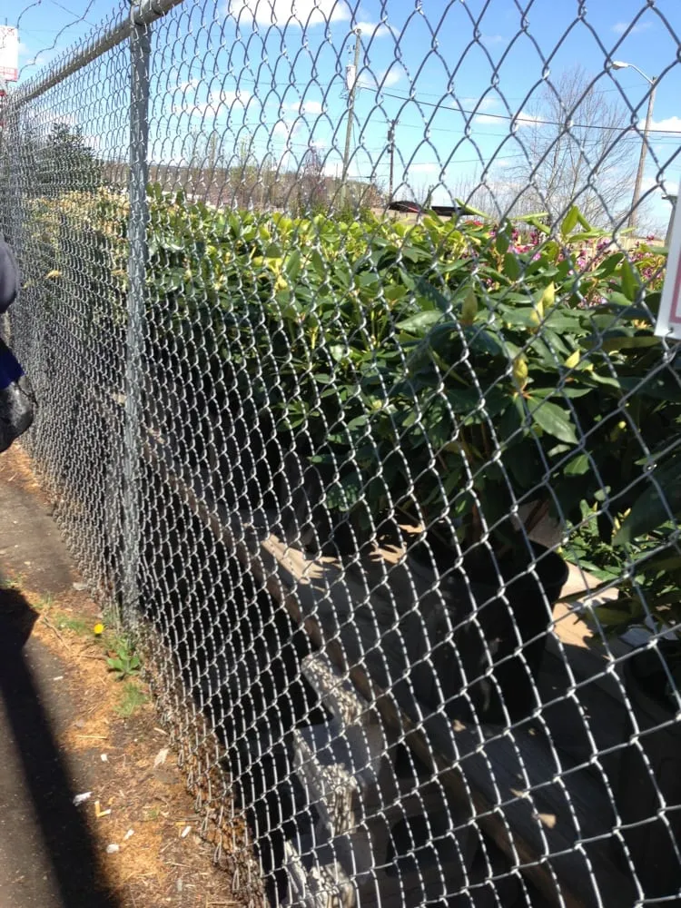 Professional landscaping services in Saint Albans, WV by Tony’s Landscaping