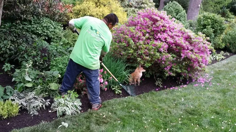 Expert yard maintenance for outdoor upgrades across Reisterstown, MD - Tonys Landscaping Services