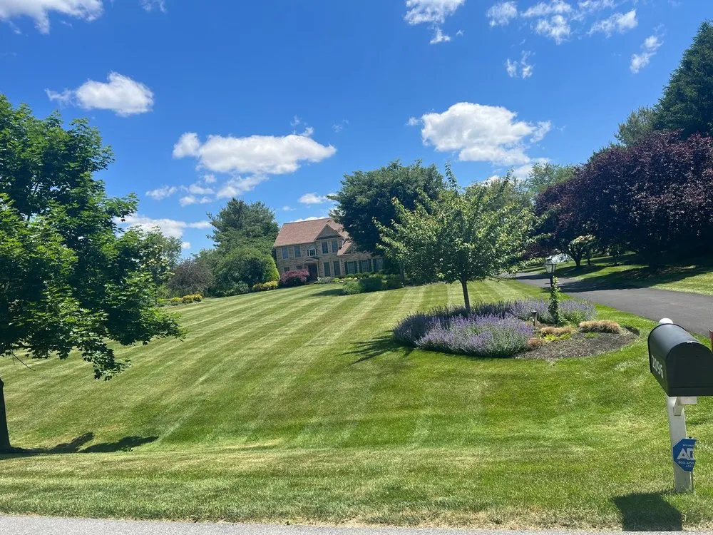 Custom yard cleanup service for year-round maintenance in Reisterstown, MD by Tonys Landscaping Services
