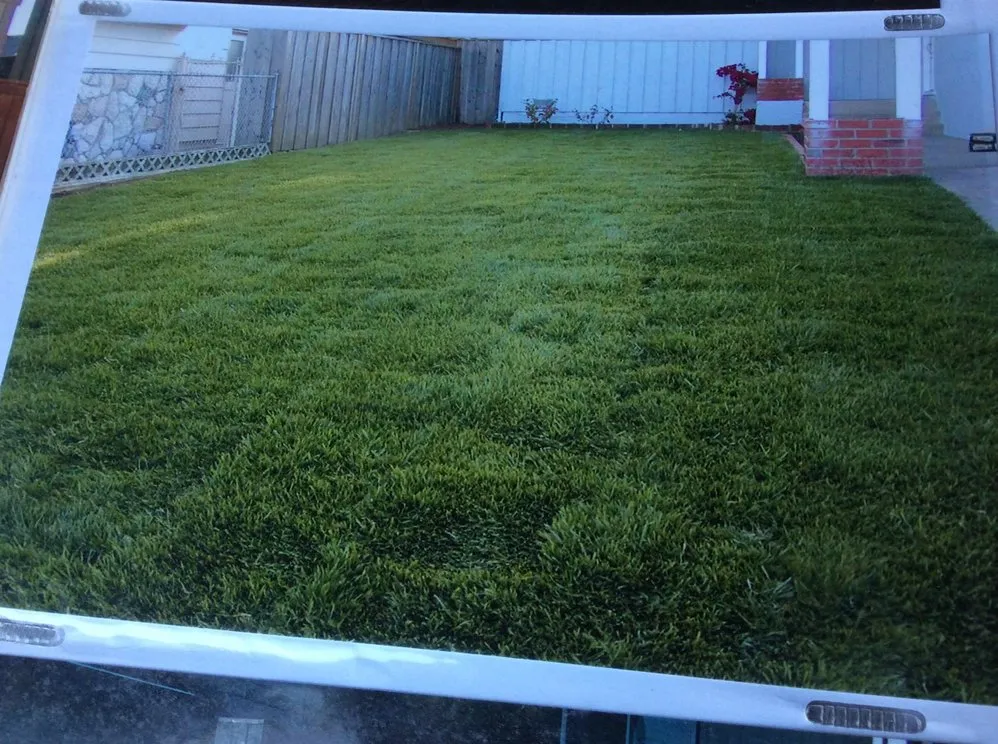 Expert yard maintenance in South San Francisco, CA - Tony’s Landscaping Services