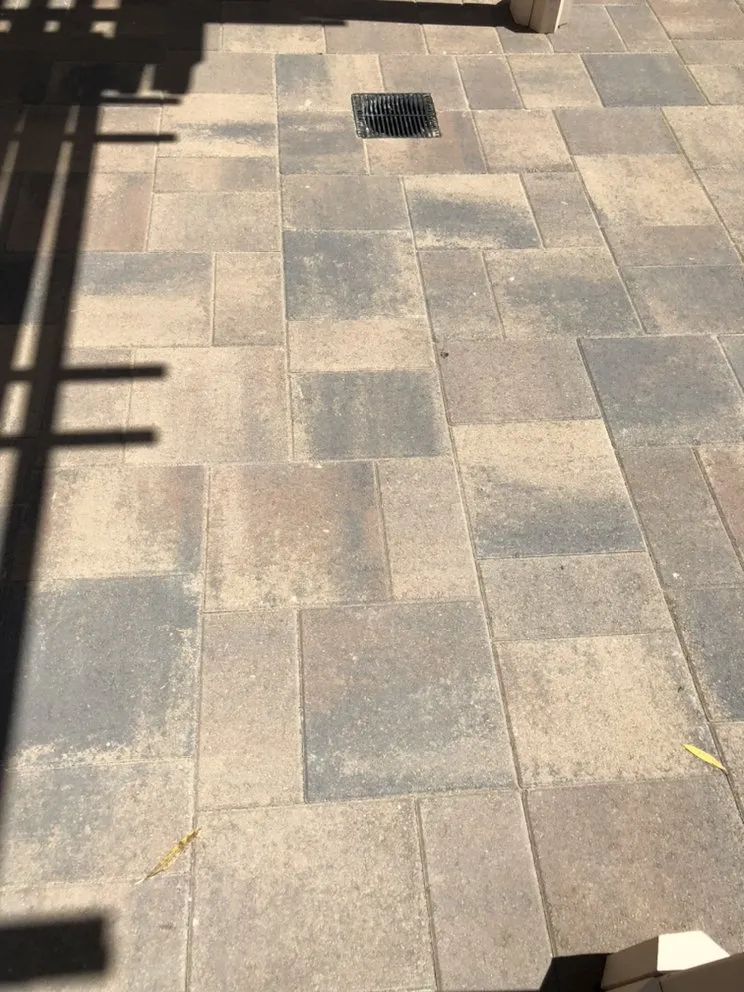 Professional yard cleanup service in South San Francisco, CA by Tony’s Landscaping Services